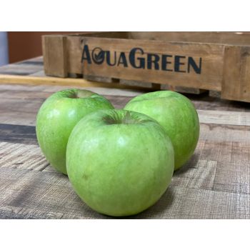 Aqua Green - 爽脆青蘋果(3個/包)