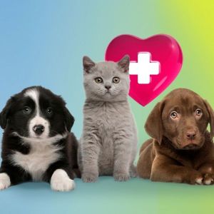 藍十字﹙亞太﹚保險有限公司 - 「愛．寵物」門診醫療保 - 75折優惠碼【2024年6月30日或之前使用】